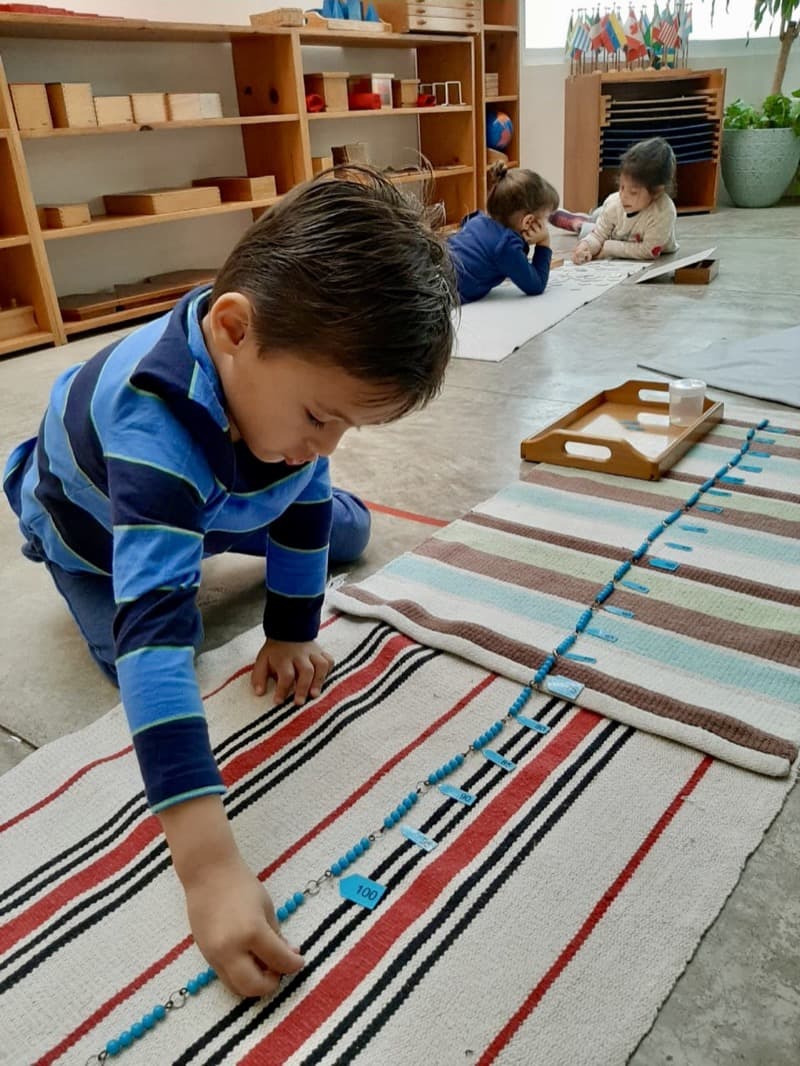 Montessori Comunidad Infantil